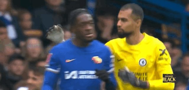 1710684529489072710.gif IMG_2317.gif